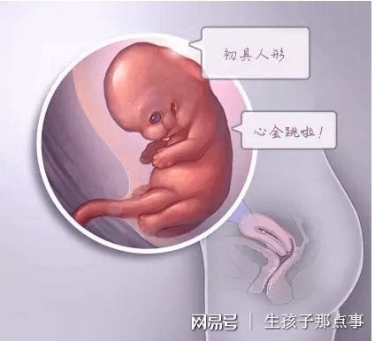 医生